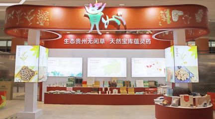 黔藥出山新窗口 貴州中藥材館常駐亳州，近400種道地藥材集中亮相